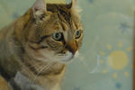 DSC_13900154e.jpg