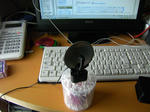 PICT0019.JPG