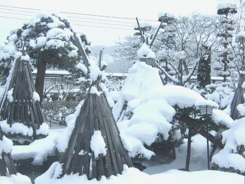 雪景色