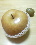 img983.jpg