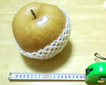img985.jpg