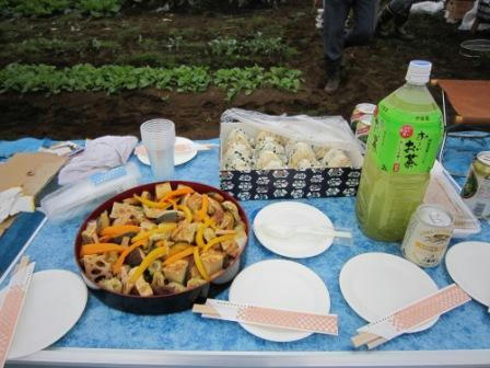 2010102901.jpg