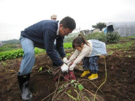 2010102902.jpg