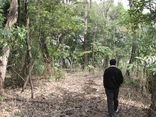 2010110502.jpg