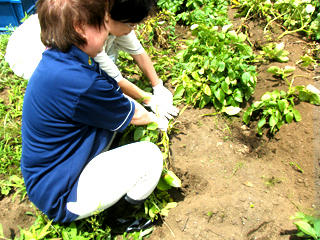 2011072201.jpg