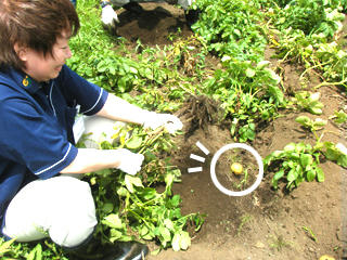 2011072202.jpg