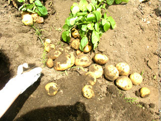 2011072203.jpg