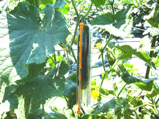 2011072902.jpg