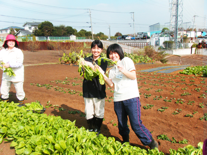 2011111501.jpg