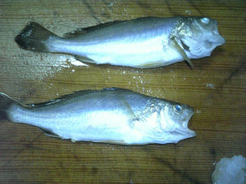 090906_194408.jpg