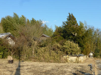 P1020589.JPG