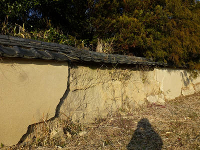 P1020590.JPG
