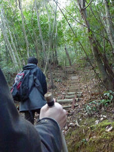 P1020610.JPG
