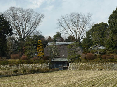 P1020942.JPG
