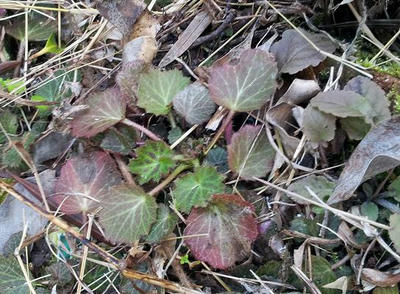 20130112_144719.jpg