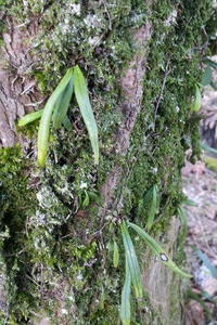 20130112_144838.jpg