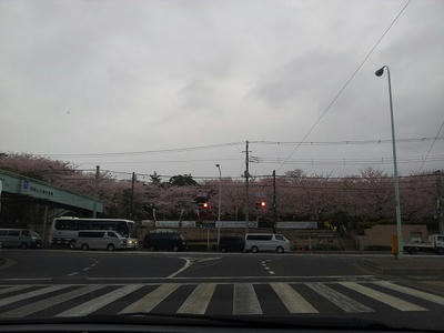 20130330_065608.jpg