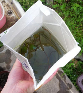 20130421_143845.jpg