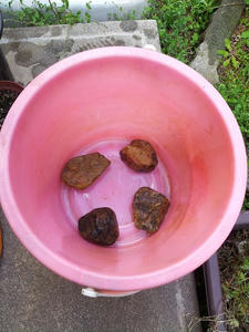 20130421_143719.jpg