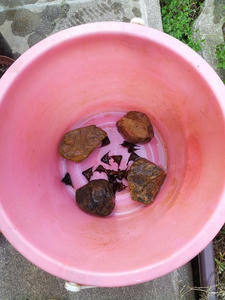 20130421_143727.jpg