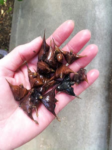 20130421_143713.jpg