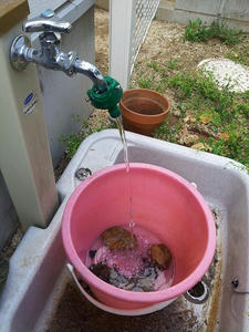 20130421_143752.jpg