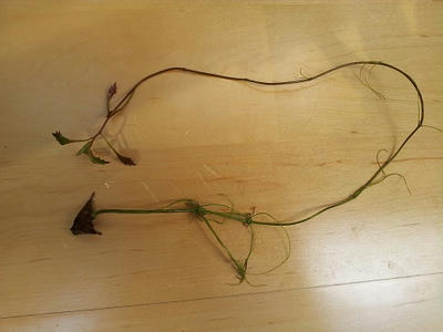 20130421_143946.jpg