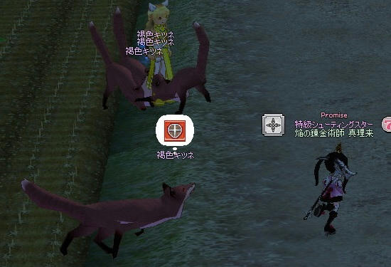 e7879912.jpeg