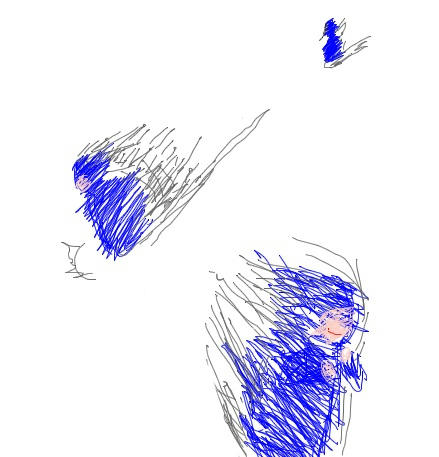 cac5da12.jpeg