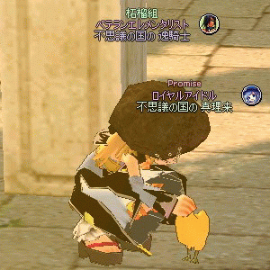 nasibasi.gif