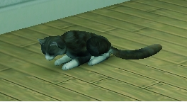 ad44ff6d.png