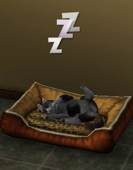 899159c6.png