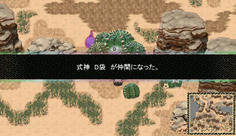おっと！宝箱からショップ購入特典のＤ袋を発見！
