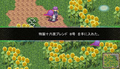なにこれ？取っても何も起こりませんでした