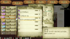 聖は闇魔法のエキスパートで、性能は霊夢と同じ