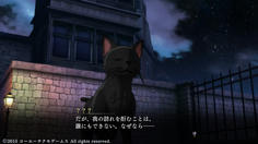 黒猫の正体は夜の君だった！？