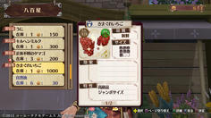 朝方に八百屋に行くと最高品質の食材が！でもとっても高額！