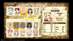 ラスボス戦前のパーティ編成　最高LVは61だが、回復に特化したキャラを連れていくことに