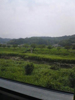 070720_1241~01.jpg