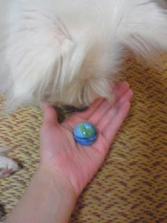 071016_2034~03.jpg