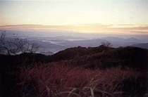 40202ab2010002596_1.jpg