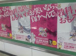DVC00081.jpg