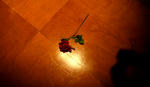 2009_06132009_08140079.jpg