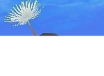 afcbd5ff.png