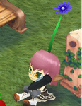2956e0c0.png