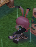 55cc61ea.png