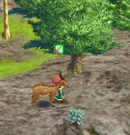 荒れきった大地