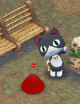 ネコです。