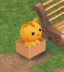 ネコかわいいよかわいいよ！