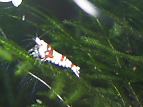 f7a8ec88.jpg
